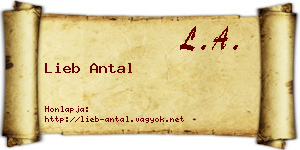 Lieb Antal névjegykártya